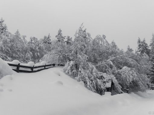 Winter im Gaflein